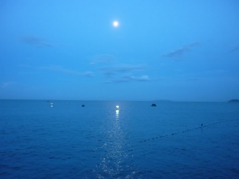 P1000273800x600.jpg