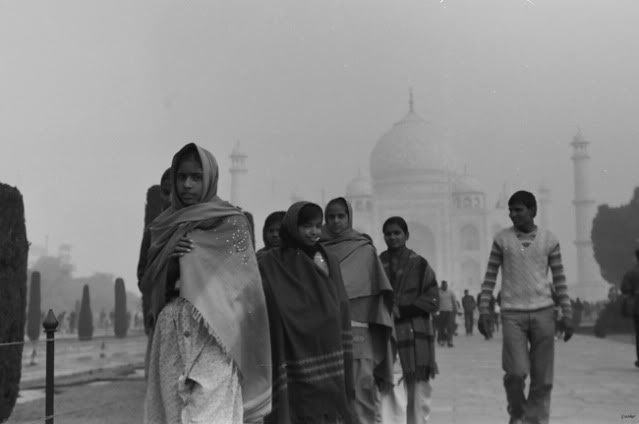 india03.jpg