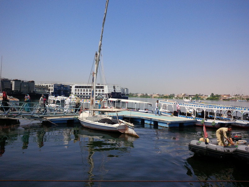 IMG_20150727_100207_zpsqoiuowwd.jpg