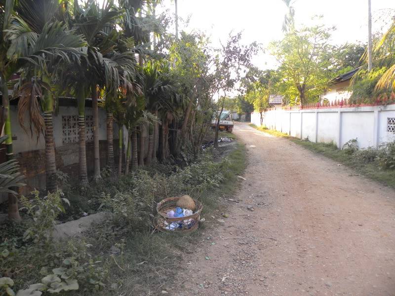 DSCN4108.jpg