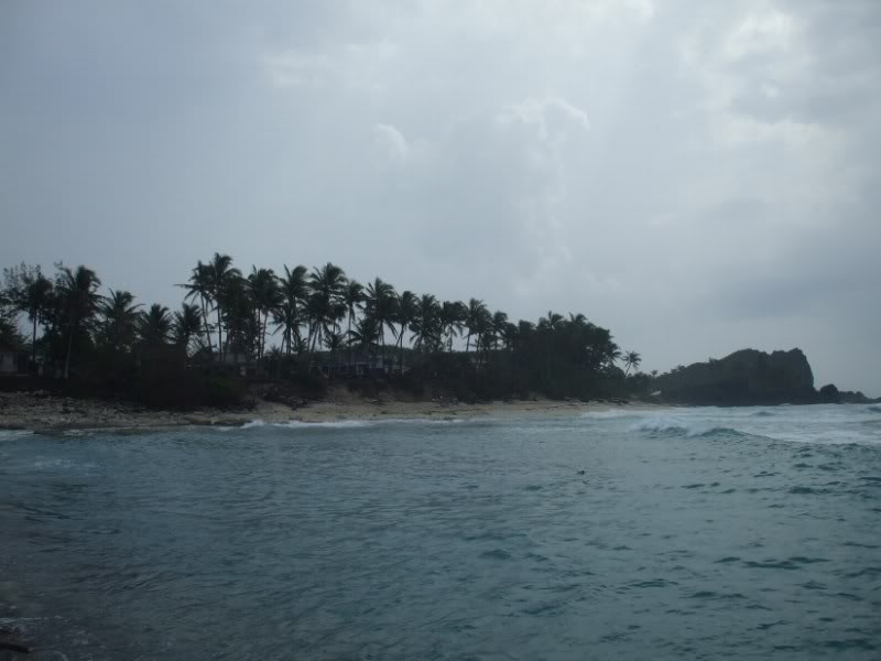 DSCF6981.jpg