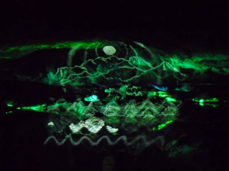 DSCN5384.jpg