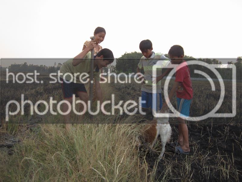 IMG_0880_zps1cd60c64.jpg