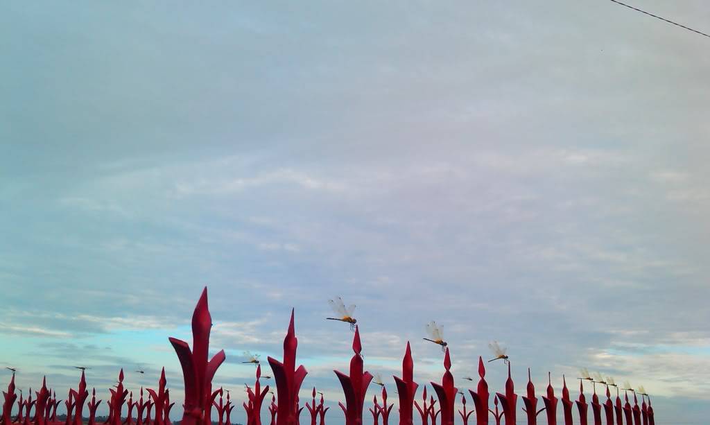 IMAG0029.jpg