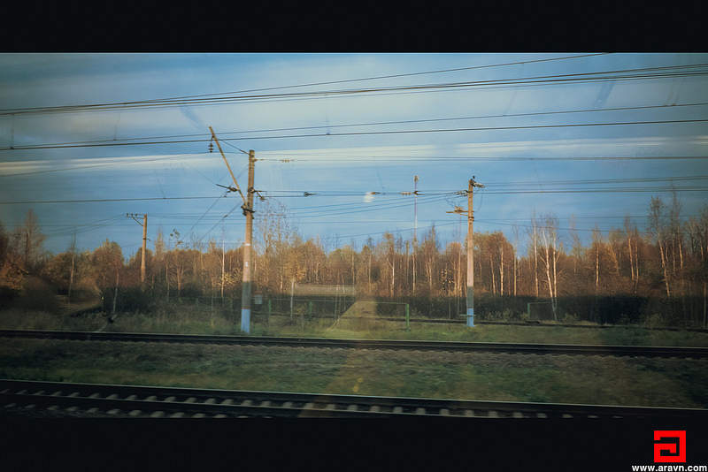 31235592651_889010c788_c.jpg