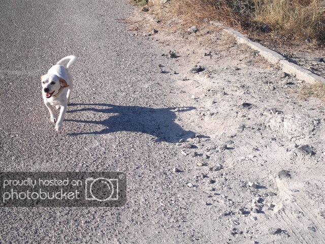 2014-06-30-6292_zpsrmx0pqdt.jpg