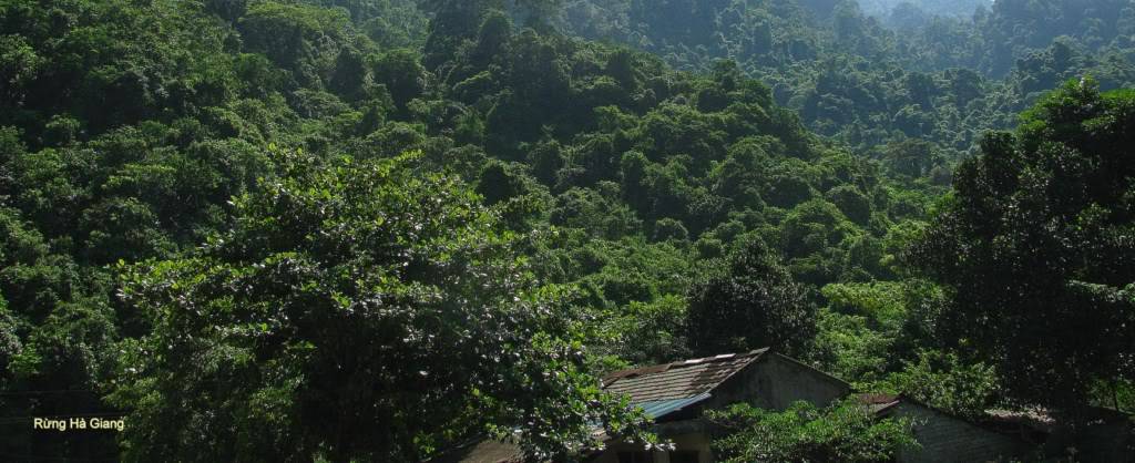 RngHGiang1024x768.jpg