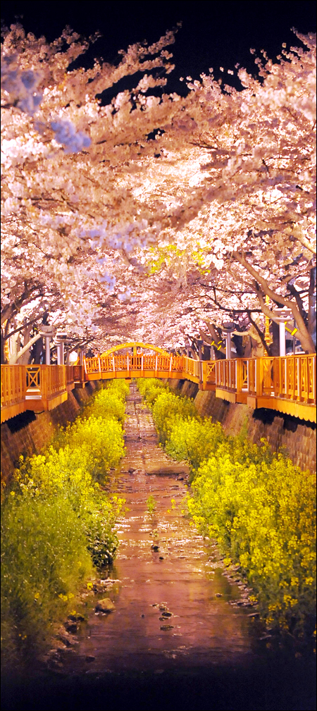 080410_p16_jinhaemain.jpg