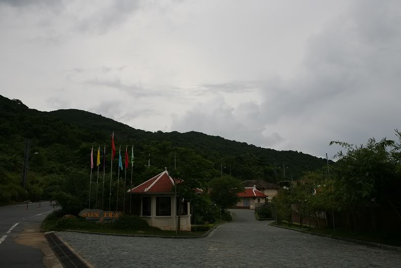 SB02.jpg