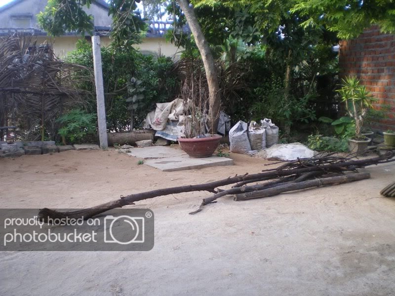 IMGP0067.jpg