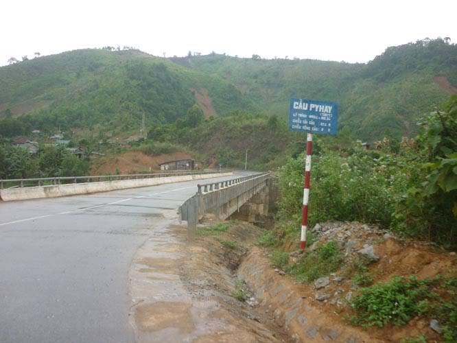 P1280654.jpg