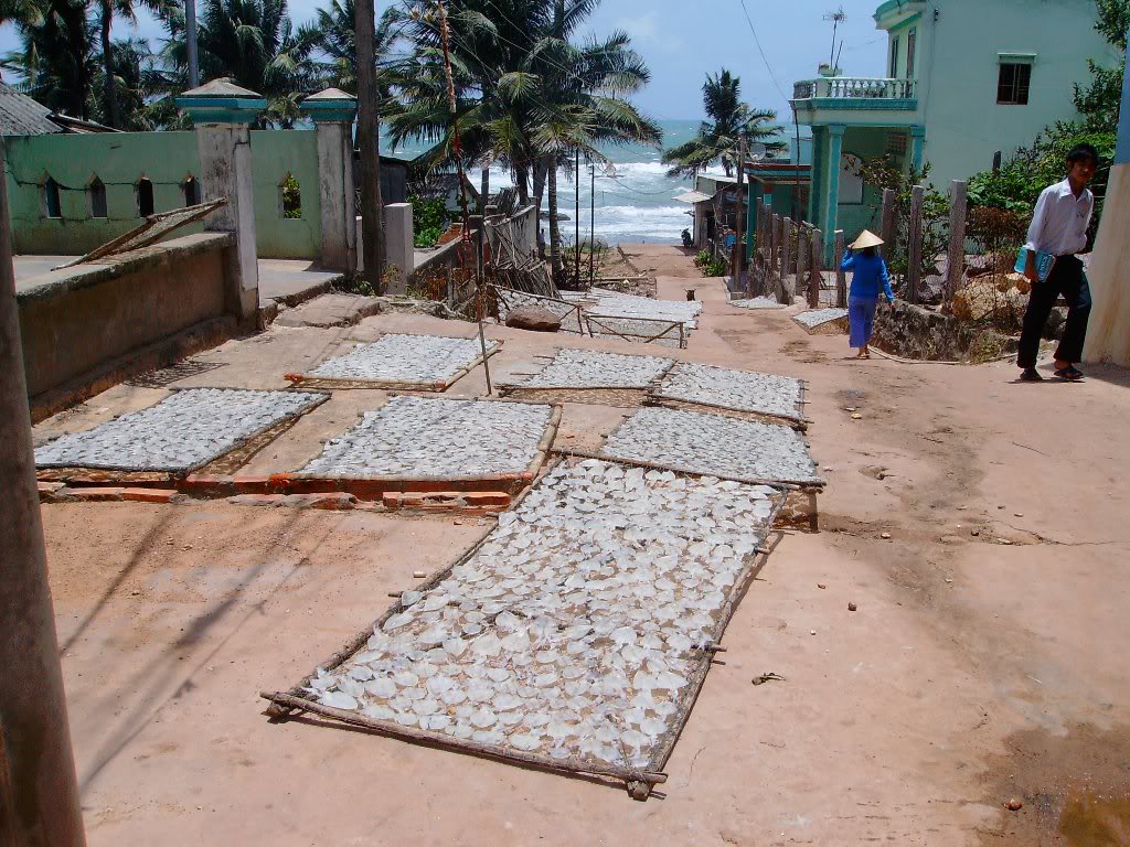 SANY4408.jpg