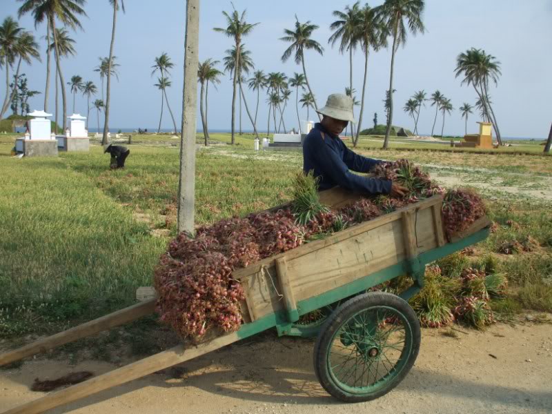 DSCF6799.jpg