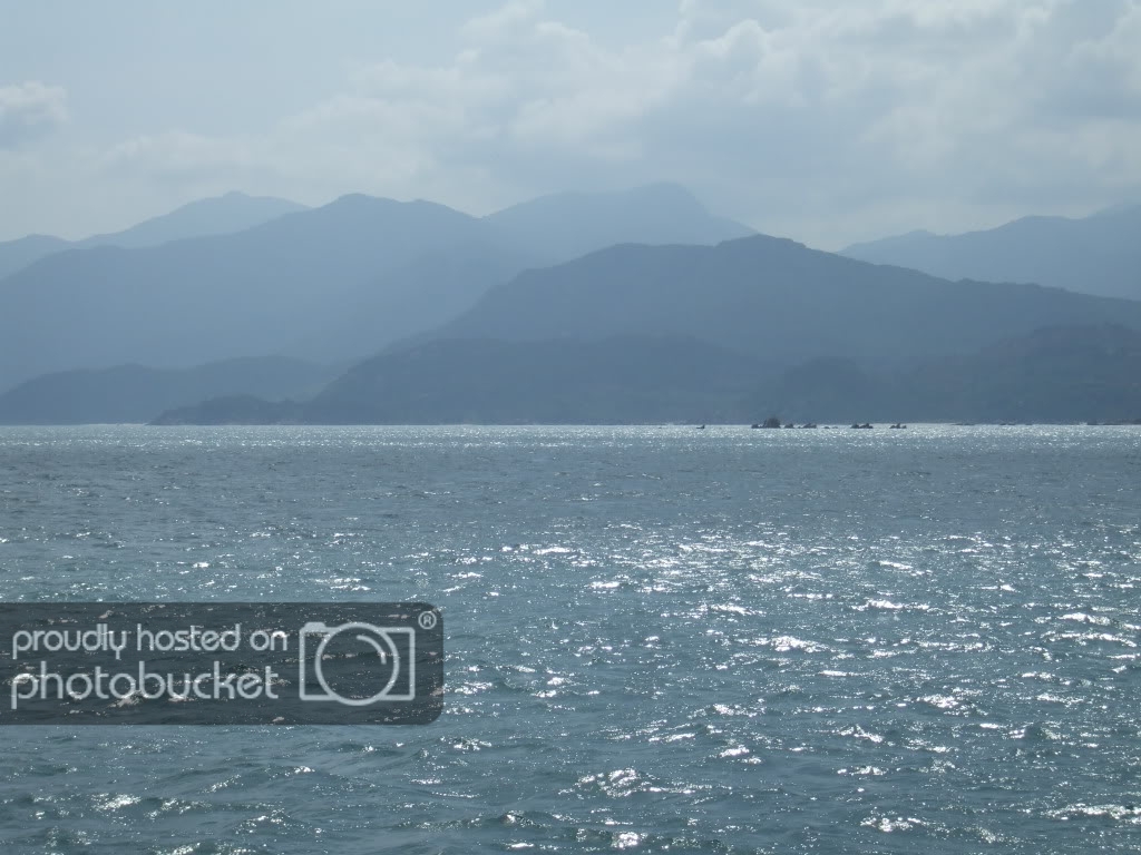 DSCF46931.jpg