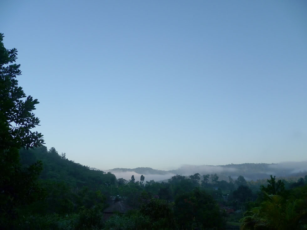P1050671.jpg