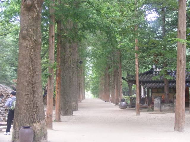 DSCF1933.jpg