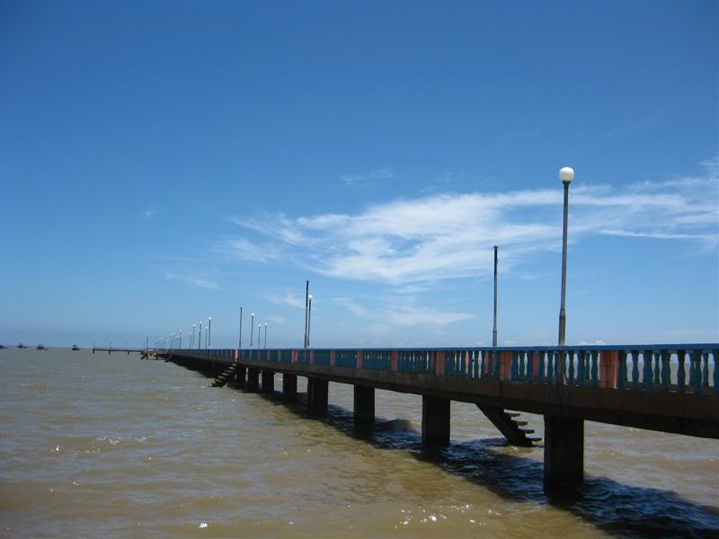 IMG_5873Medium.jpg