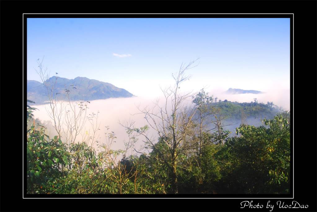 DSC_7439s.jpg