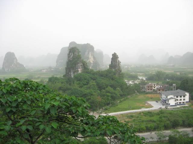 195.jpg
