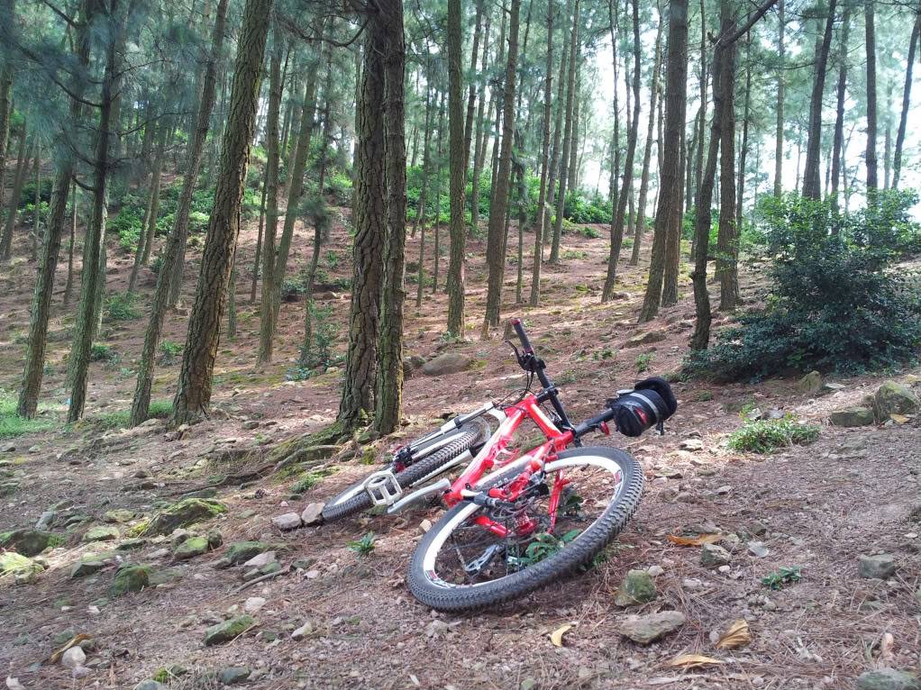 2011-10-15124354-1.jpg