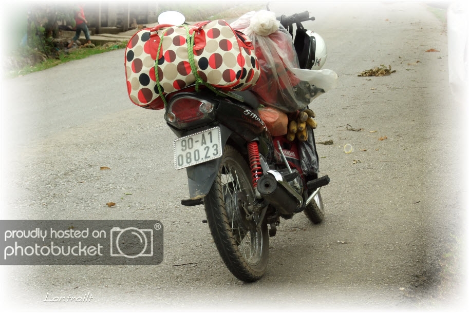 DSCF0191.jpg