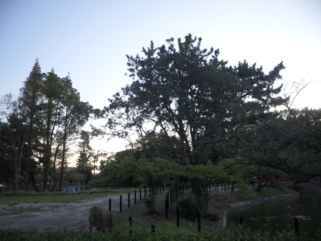 SAM_3300.jpg
