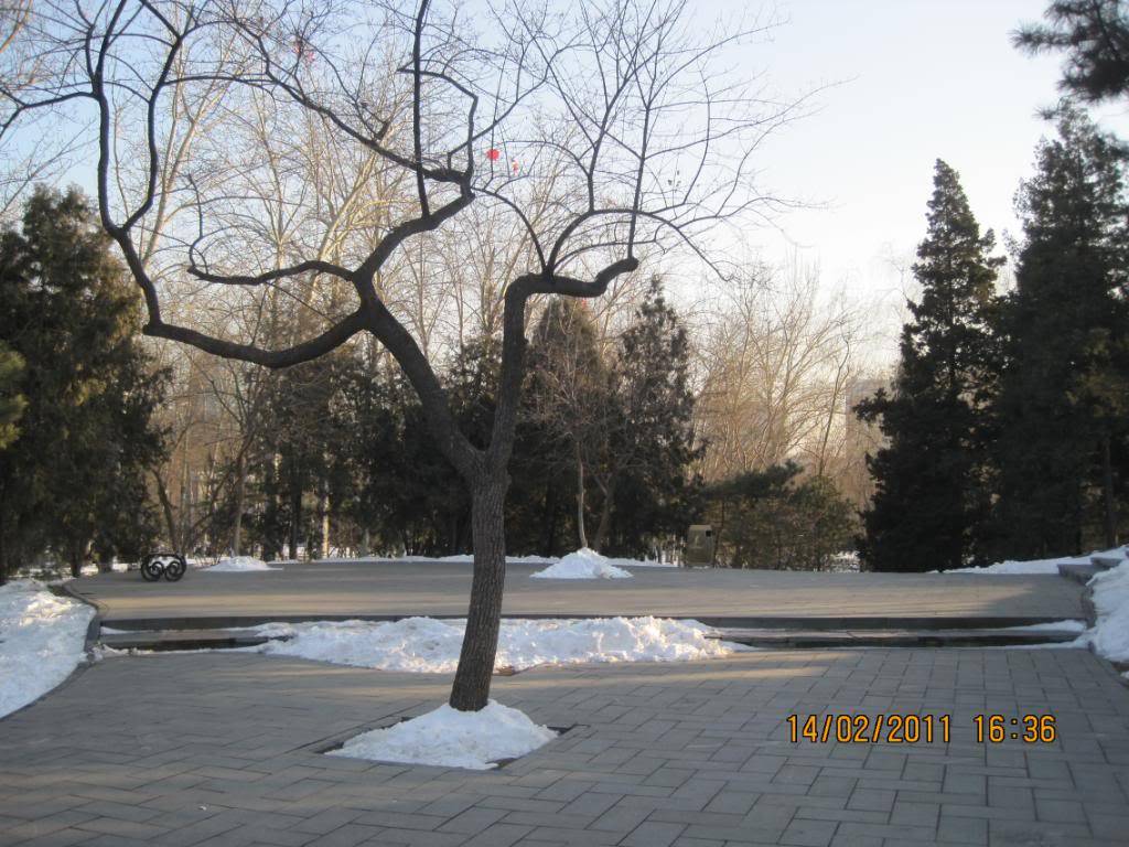 IMG_6023.jpg