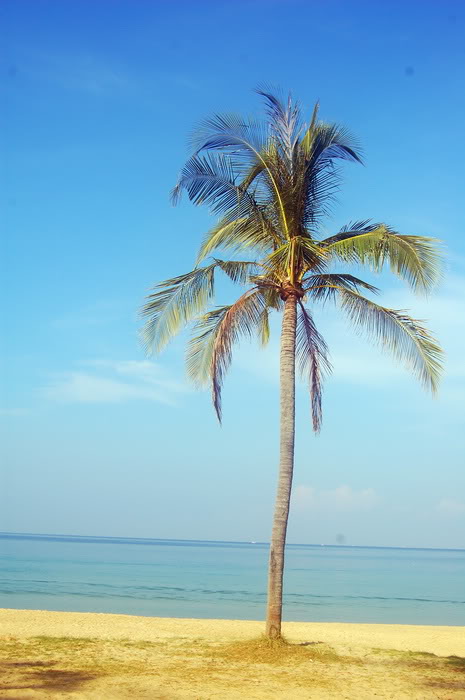 DSC_6876_resize.jpg