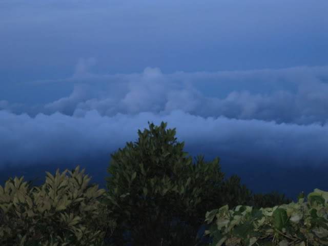 IMG_2200.jpg