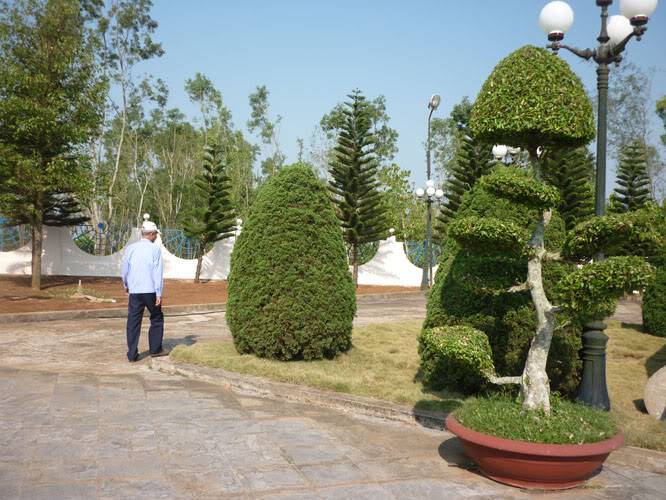 P1060850.jpg
