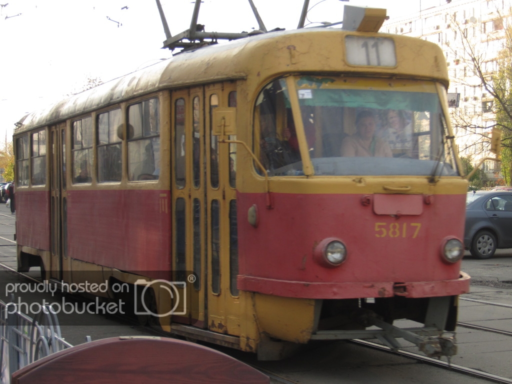 IMG_8448_zps1bdbcf2f.jpg