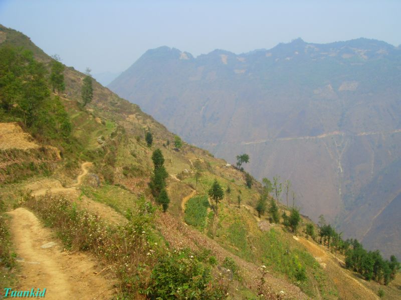 SDC16424.jpg