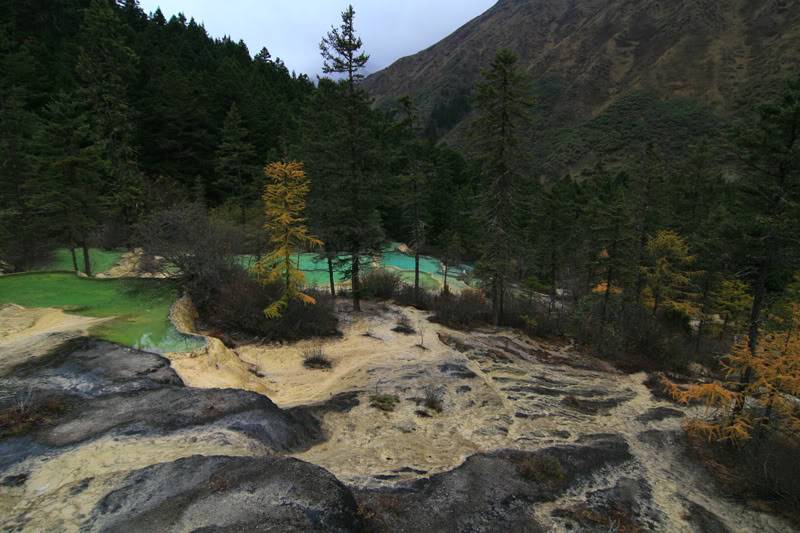 hoanglong213-1.jpg