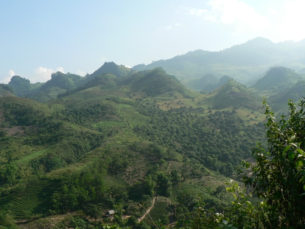 P1090844.jpg