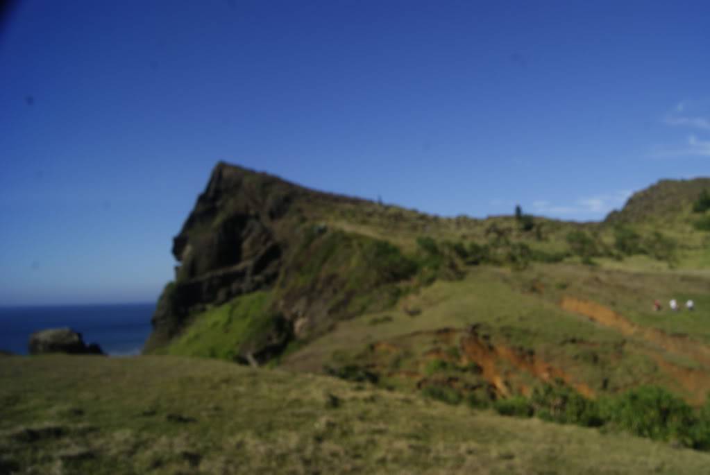 _DSC8507.jpg