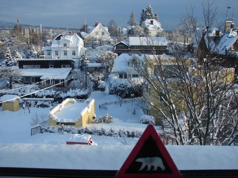 DSC01366.jpg