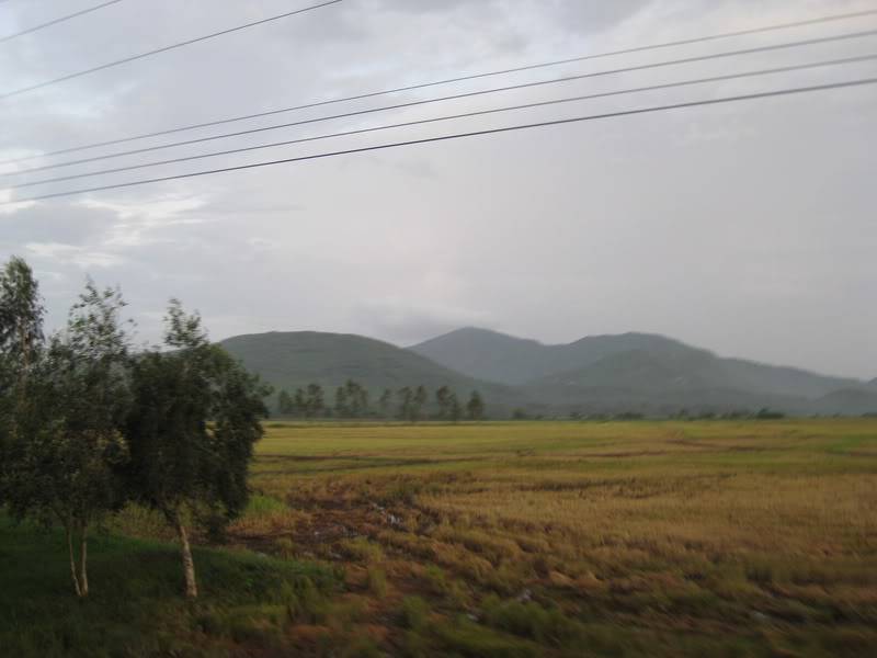 IMG_0563_resize.jpg