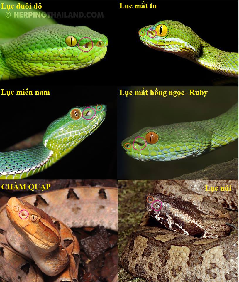 lam-gi-khi-ni-ran-doc-can.jpg