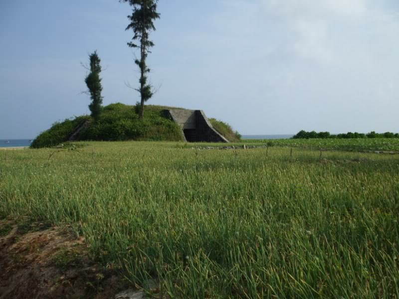 DSCF6784.jpg