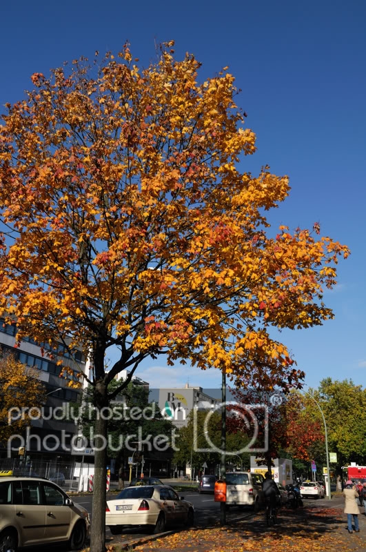 Duc-Berlin006.jpg
