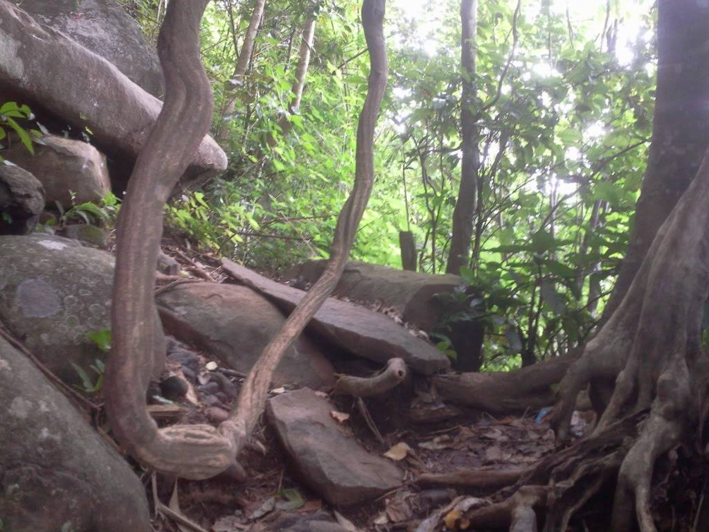 Photo0795.jpg