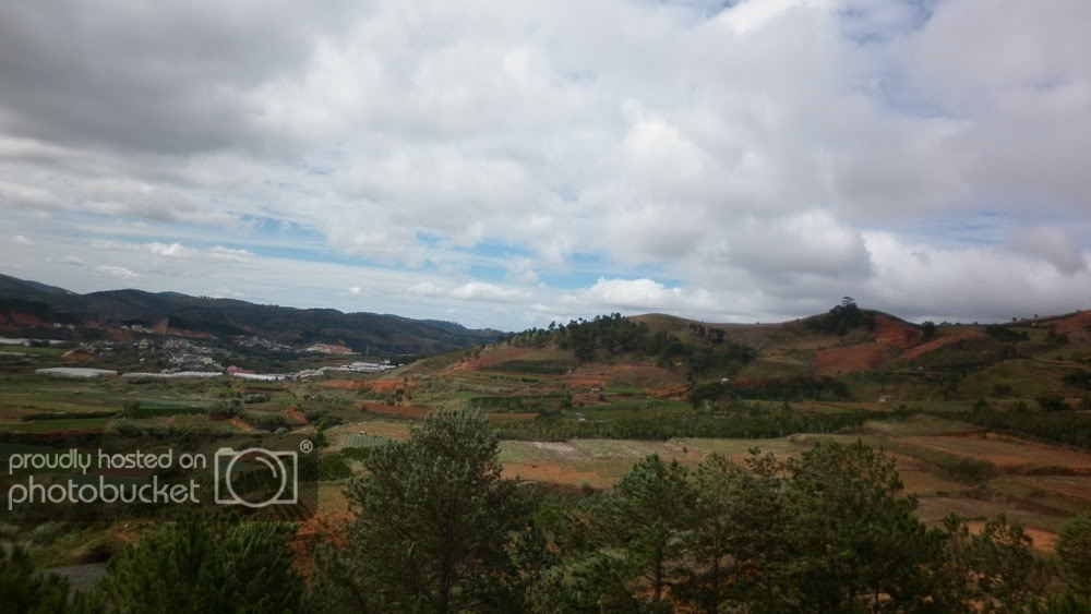 P1000541.jpg