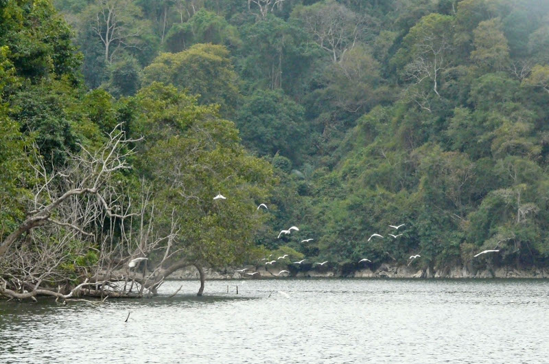 P1050585.JPG