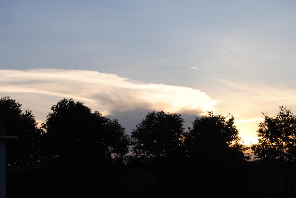 DSC_0203.jpg