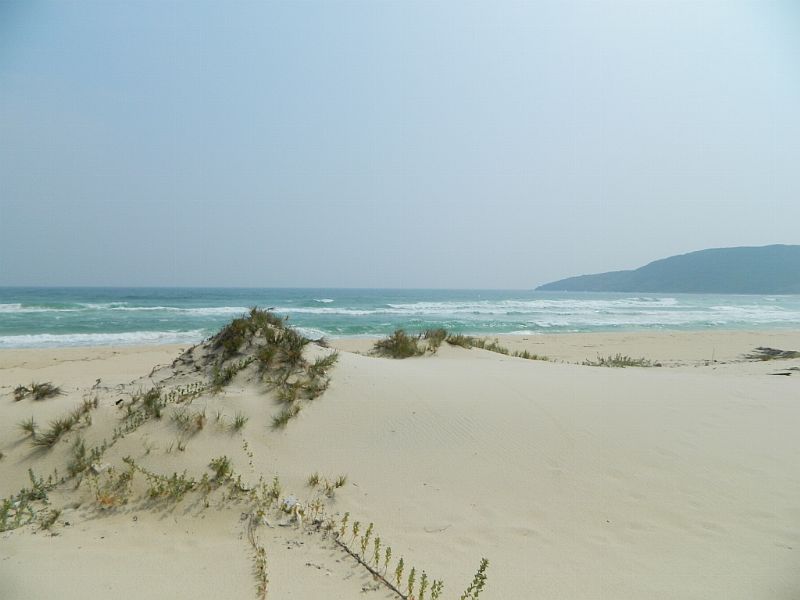 DSCN2379.jpg
