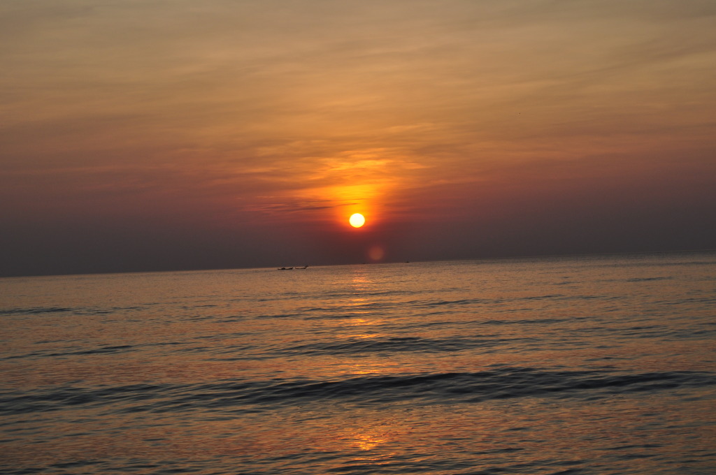 DSC_0419.jpg