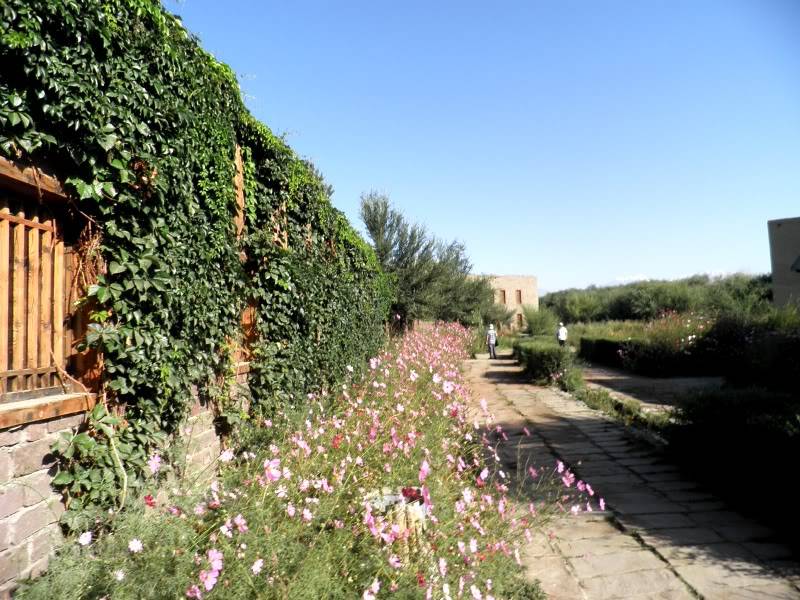 P9011537.jpg