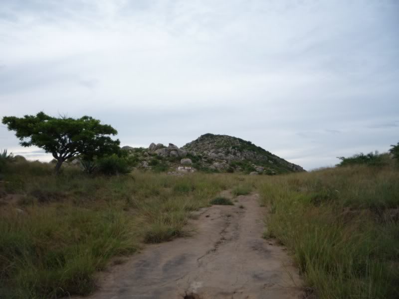 P1010642800x600.jpg