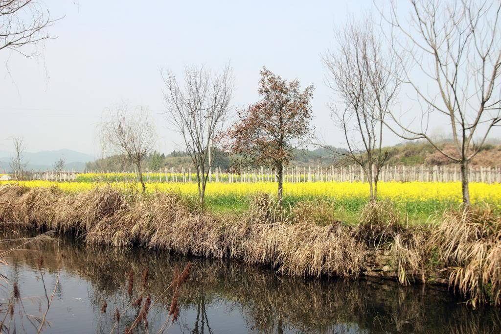 IMG_8382_zps54889d7c.jpg