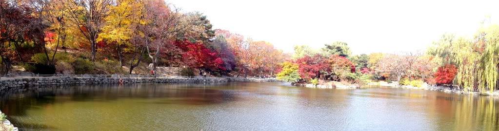 DSC00275.jpg